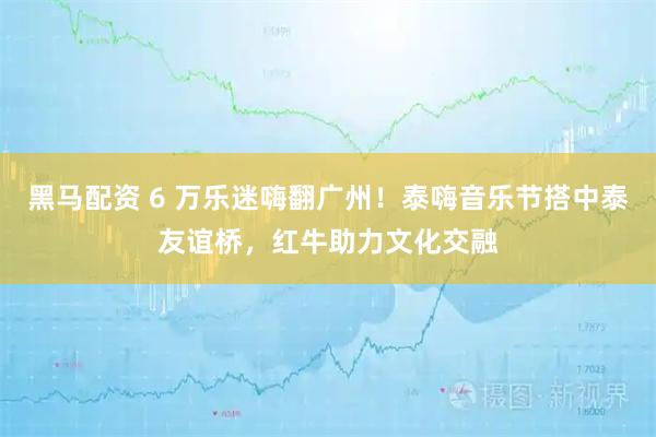 黑马配资 6 万乐迷嗨翻广州！泰嗨音乐节搭中泰友谊桥，红牛助力文化交融