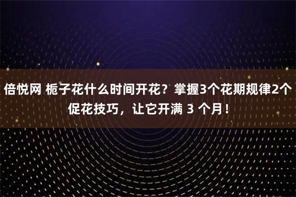 倍悦网 栀子花什么时间开花？掌握3个花期规律2个促花技巧，让它开满 3 个月！