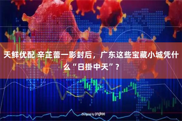 天鲜优配 辛芷蕾一影封后，广东这些宝藏小城凭什么“日掛中天”？
