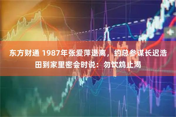 东方财通 1987年张爱萍退离，约总参谋长迟浩田到家里密会时说：勿饮鸩止渴