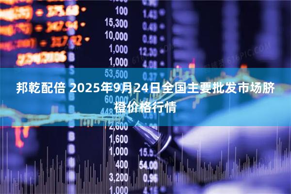 邦乾配倍 2025年9月24日全国主要批发市场脐橙价格行情