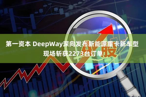 第一资本 DeepWay深向发布新能源重卡新车型 现场斩获2273台订单