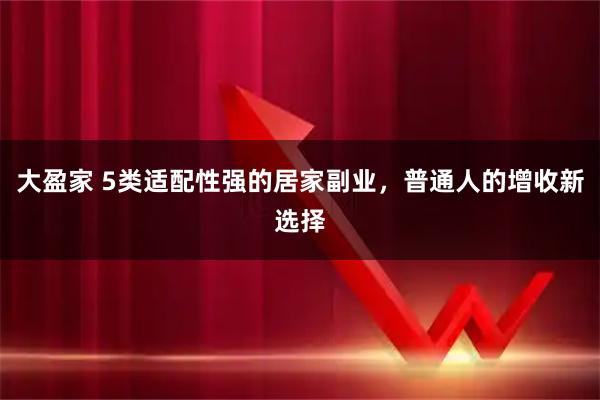 大盈家 5类适配性强的居家副业，普通人的增收新选择